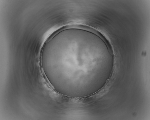 X0000112411104200908211116