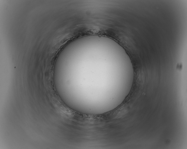 X0000112411105200908211115