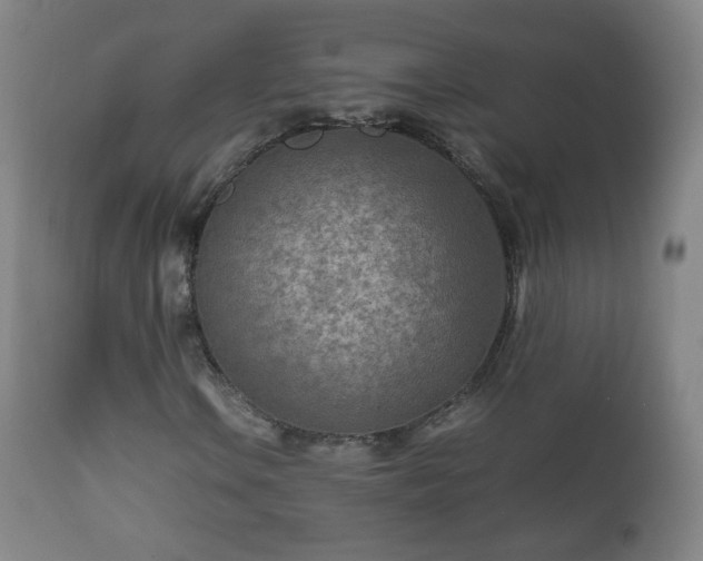 X0000112411106200908211115