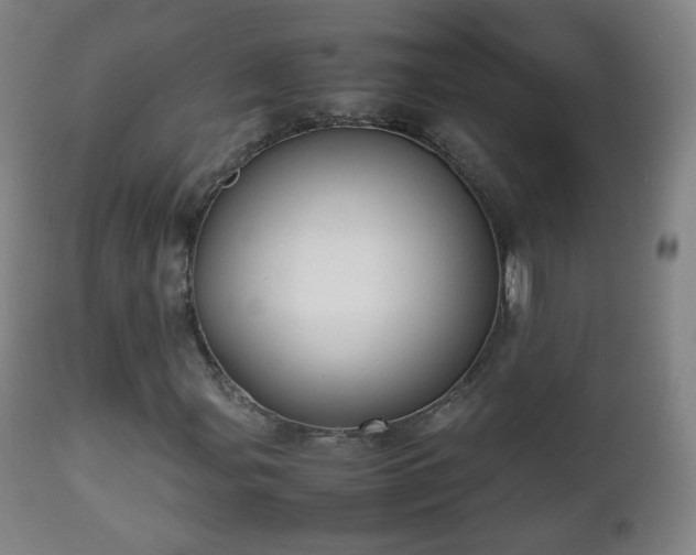 X0000112411107200908211115