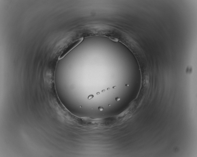 X0000112411108200908211115