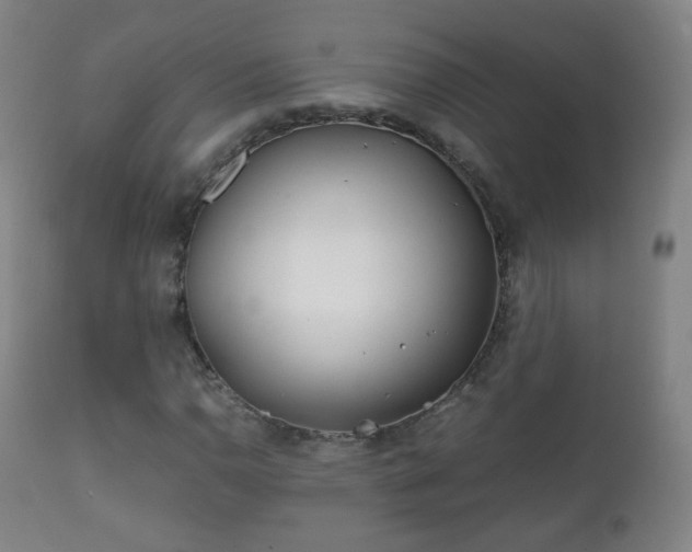 X0000112411110200908211115