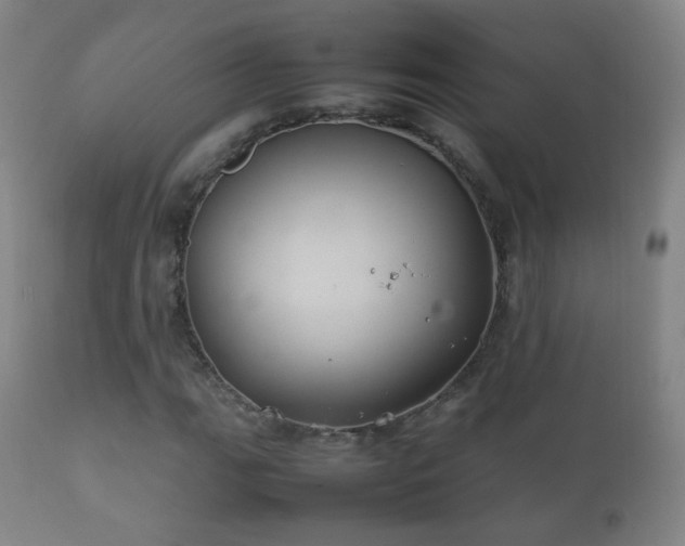 X0000112411111200908211115