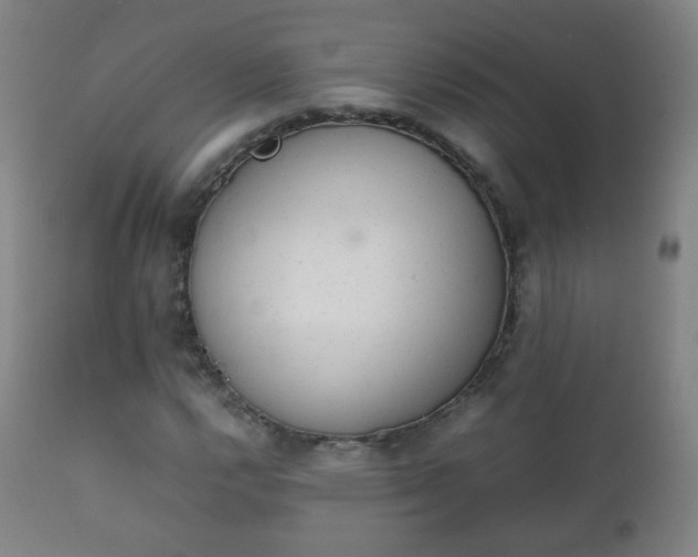 X0000112411112200908211115