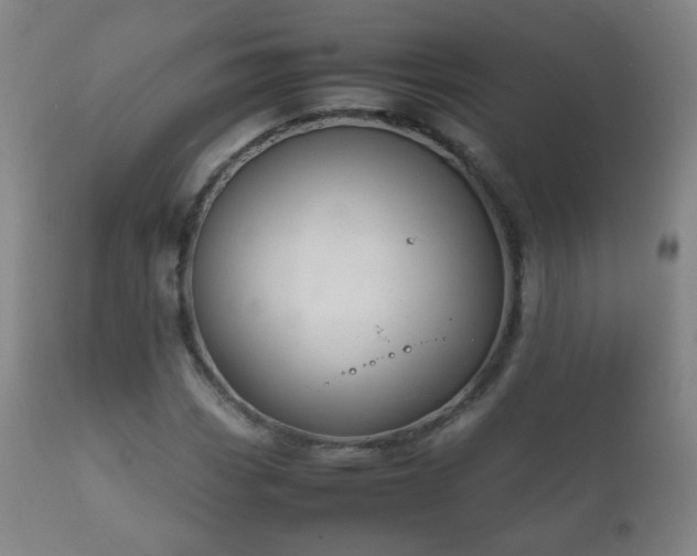 X0000112411113200908211115