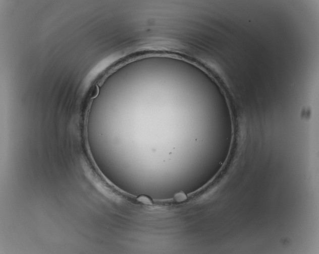X0000112411114200908211115