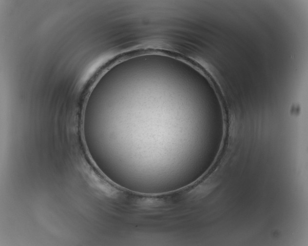 X0000112411115200908211115
