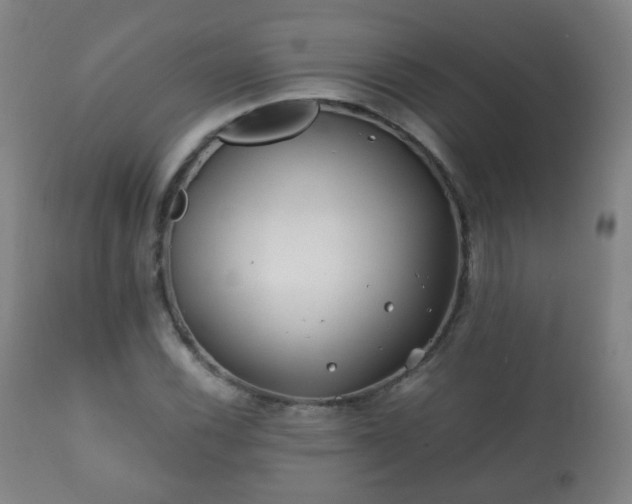 X0000112411116200908211115