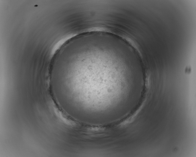 X0000112411117200908211115