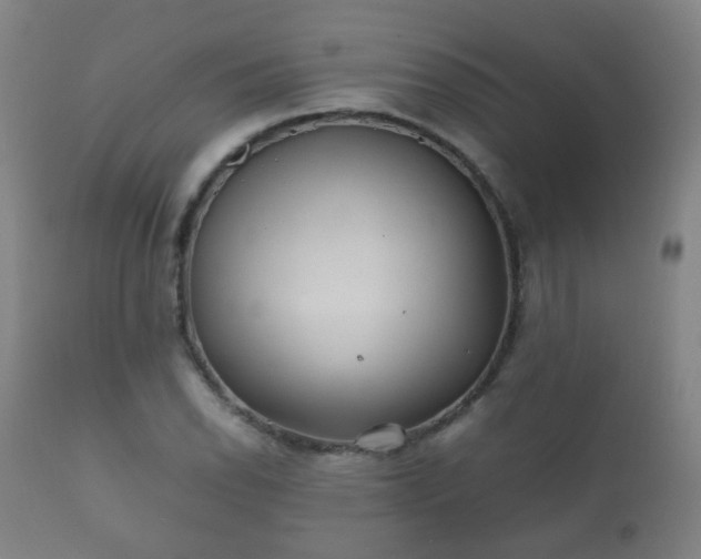 X0000112411118200908211115