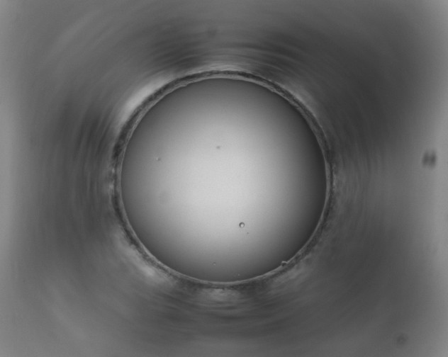 X0000112411119200908211115