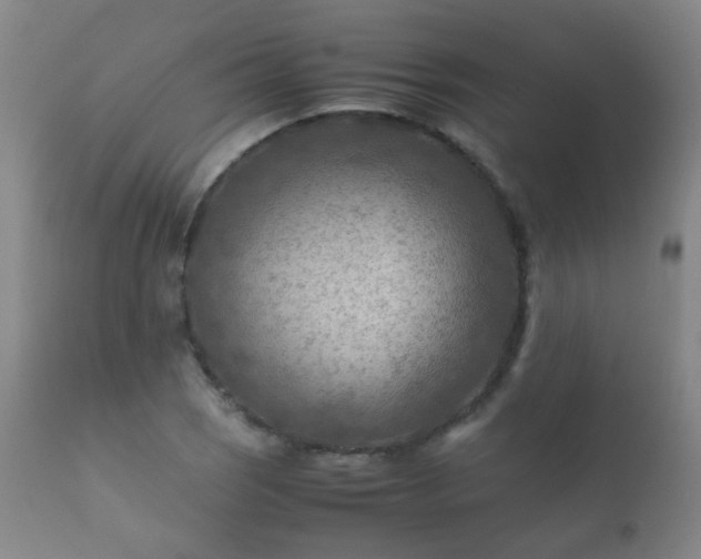 X0000112411121200908211115
