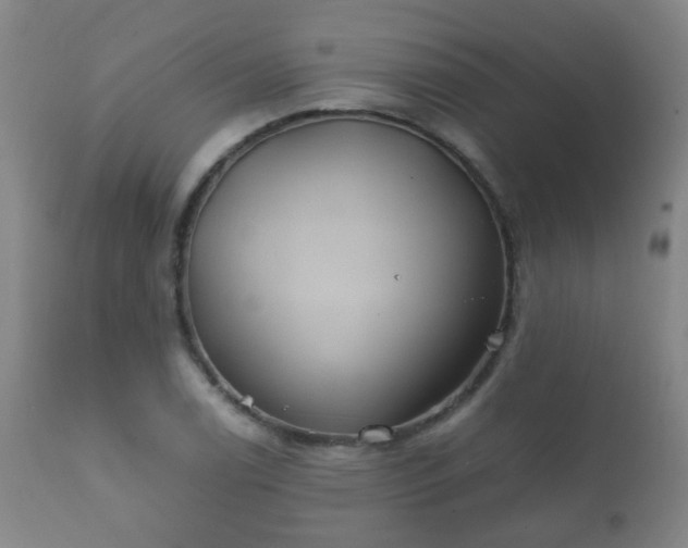 X0000112411122200908211115