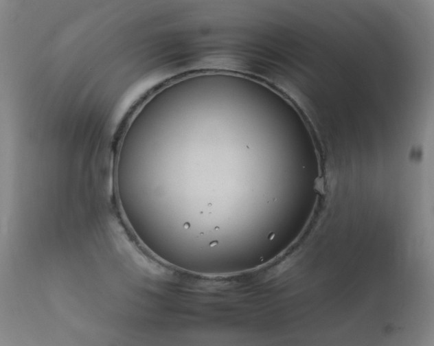 X0000112411123200908211115