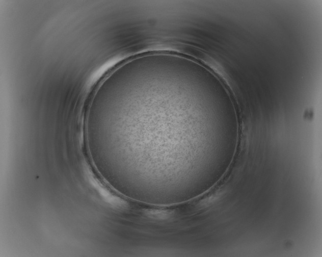 X0000112411127200908211115