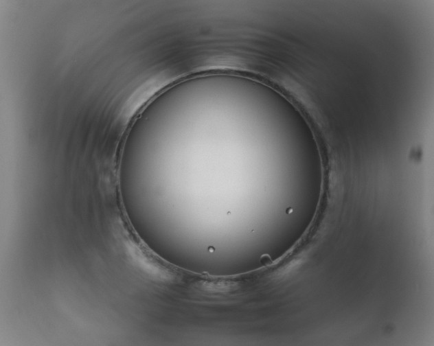 X0000112411129200908211115
