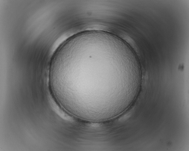 X0000112411130200908211116
