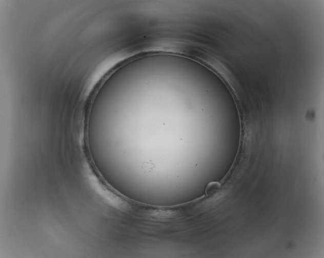 X0000112411131200908211116