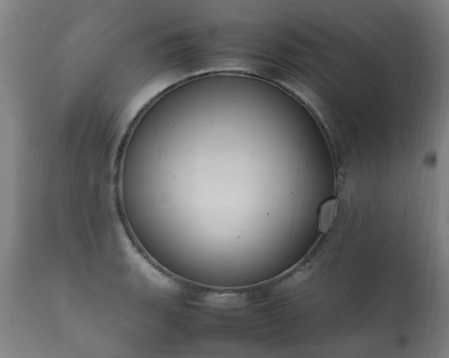 X0000112411135200908211116