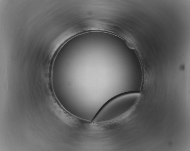 X0000112411138200908211116