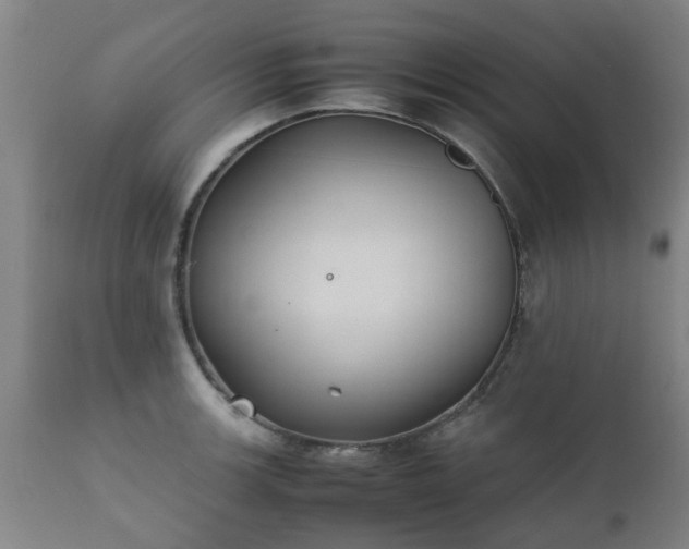 X0000112411139200908211116