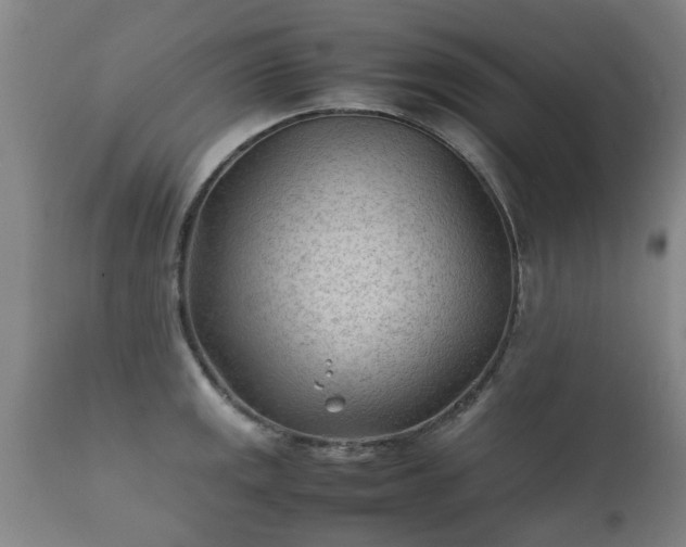 X0000112411141200908211116