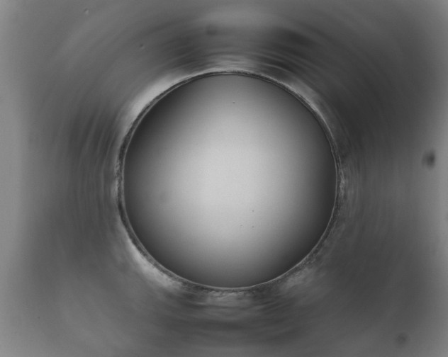 X0000112411143200908211116