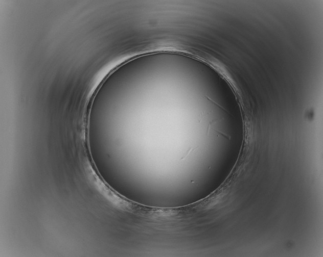 X0000112411148200908211116