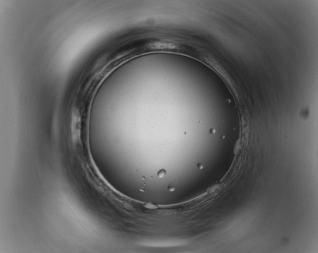 X0000112411151200908211116
