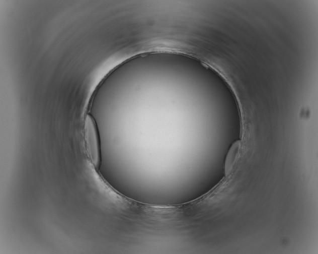 X0000112411152200908211116