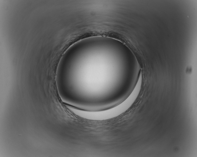 X0000112411153200908211115
