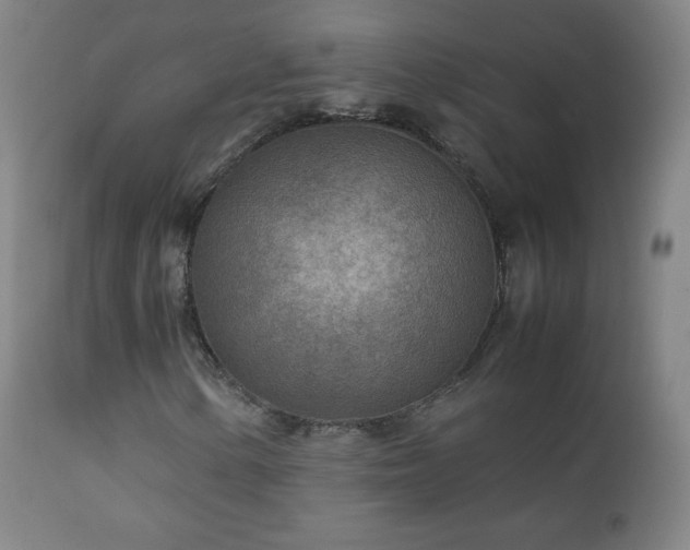 X0000112411154200908211115