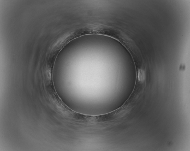 X0000112411155200908211115