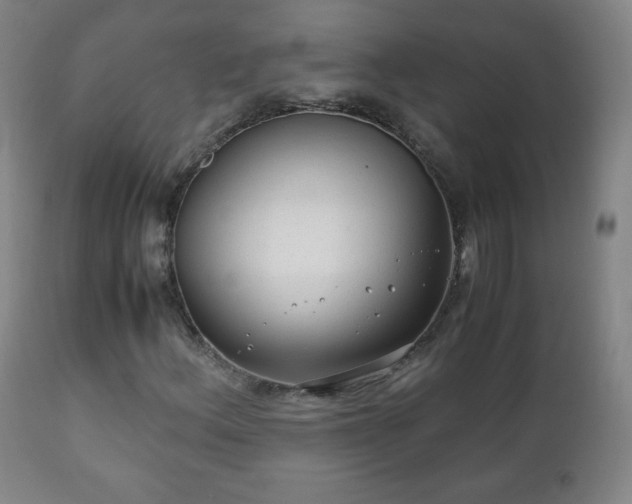 X0000112411156200908211115