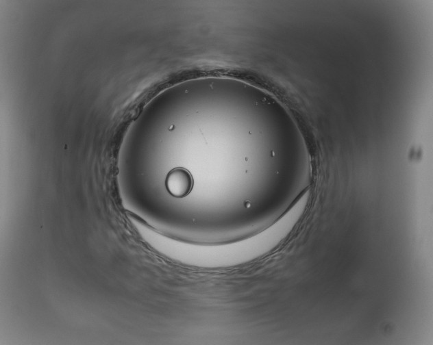 X0000112411157200908211115