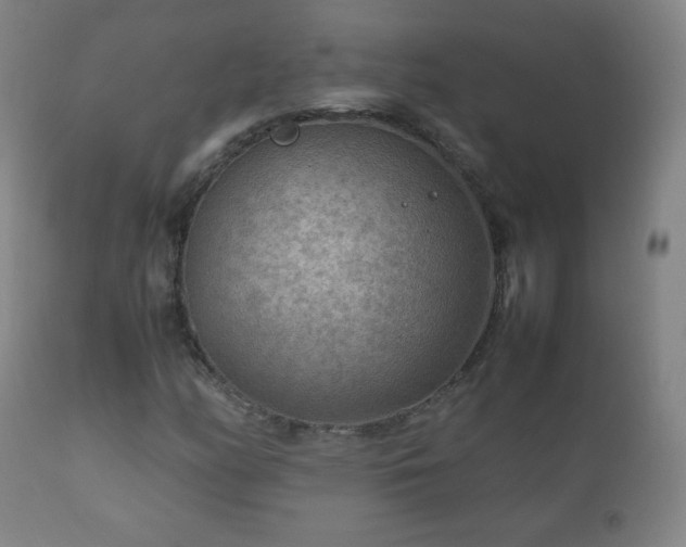 X0000112411158200908211115