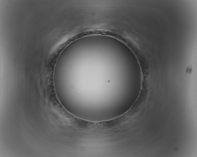 X0000112411159200908211115