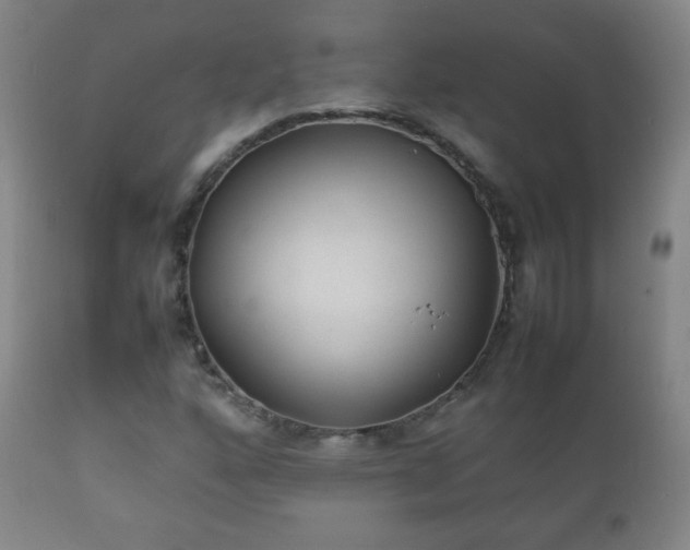 X0000112411160200908211115