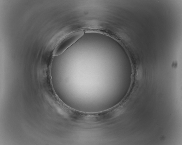 X0000112411161200908211115