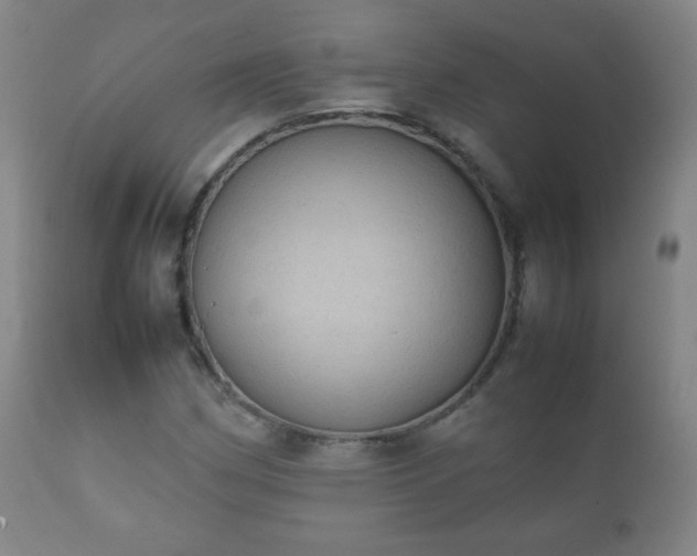 X0000112411162200908211115