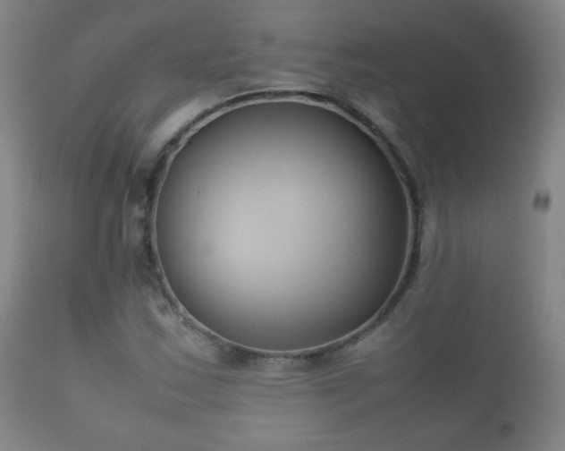 X0000112411163200908211115