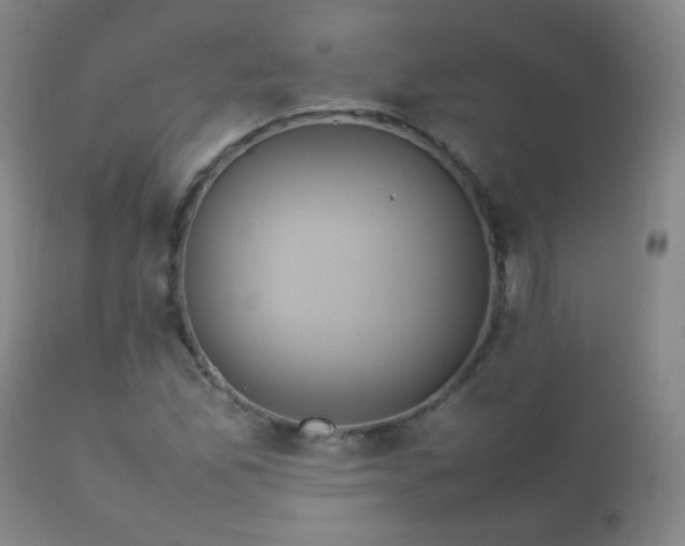 X0000112411165200908211115