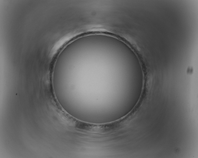 X0000112411167200908211115