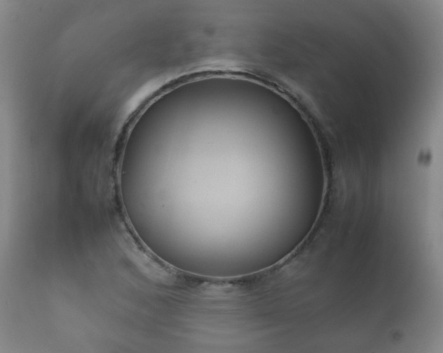 X0000112411168200908211115