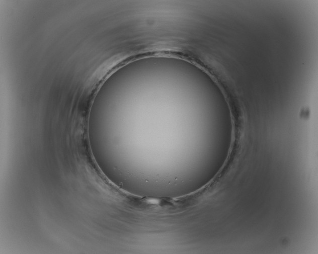 X0000112411169200908211115