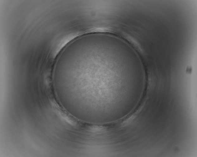 X0000112411170200908211115