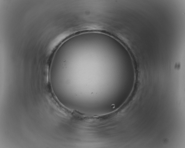 X0000112411171200908211115