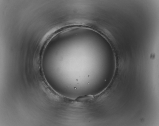 X0000112411172200908211115
