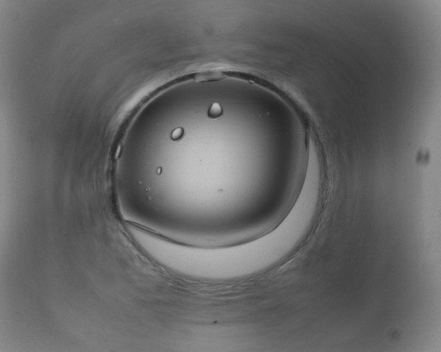 X0000112411173200908211115