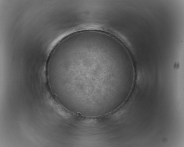 X0000112411174200908211115